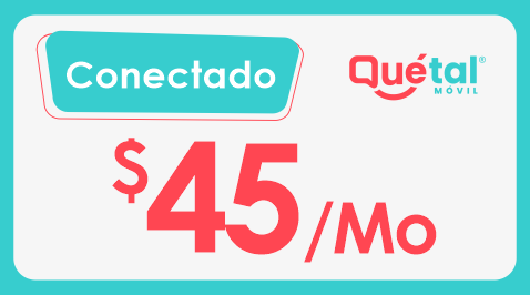 Conectado
